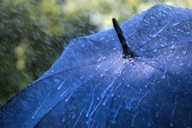 雨傘定制